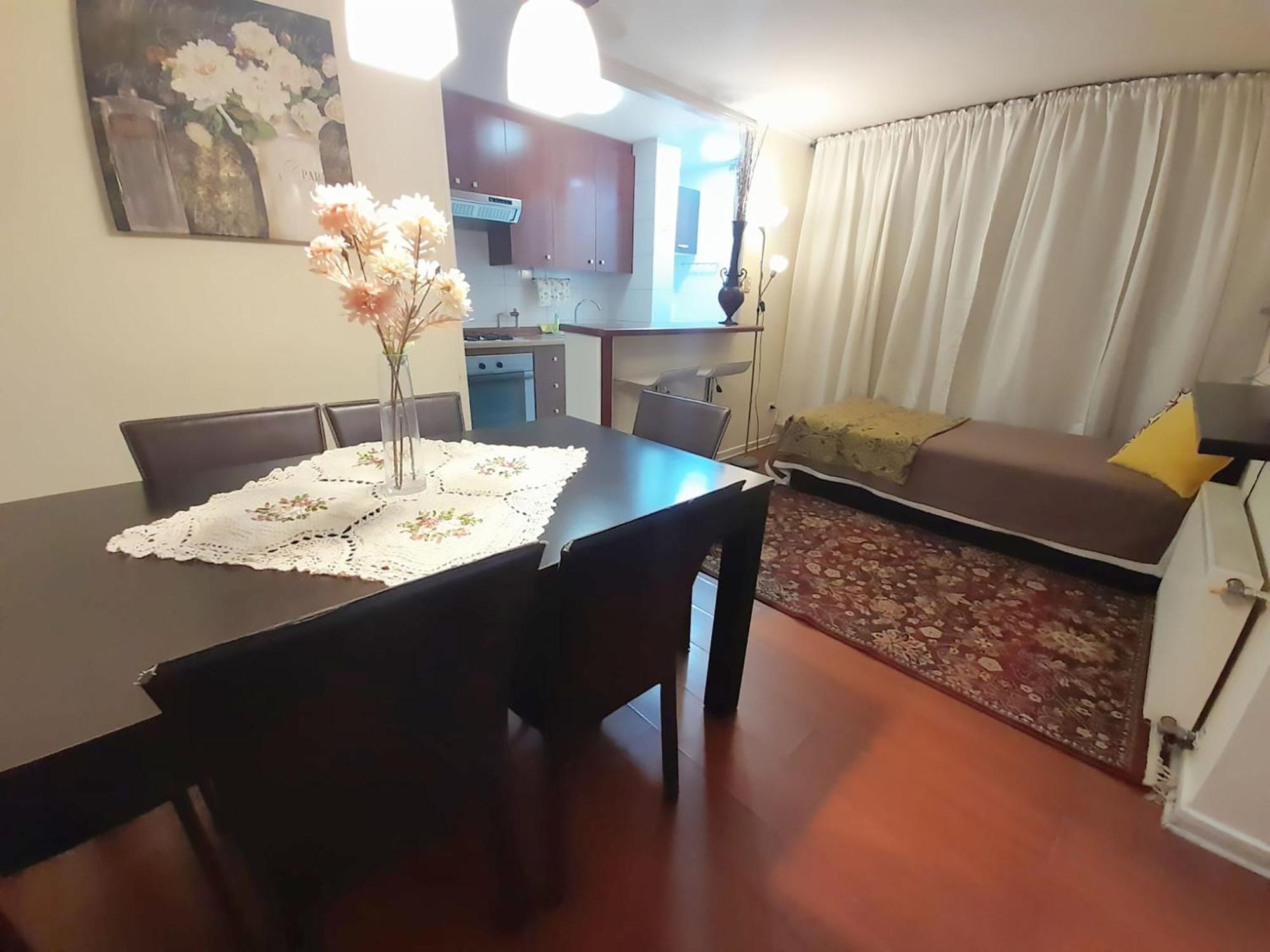 Vip Apartments Chile Santiago Kültér fotó